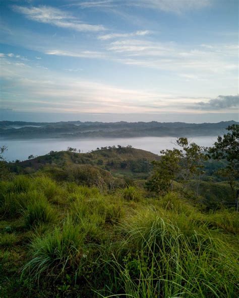 danao sea of clouds|Sea of Clouds • Danao, Bohol .